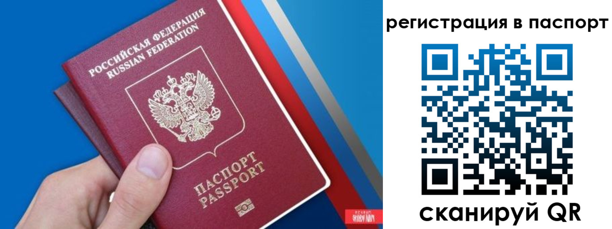 прописка для школы в Каменке